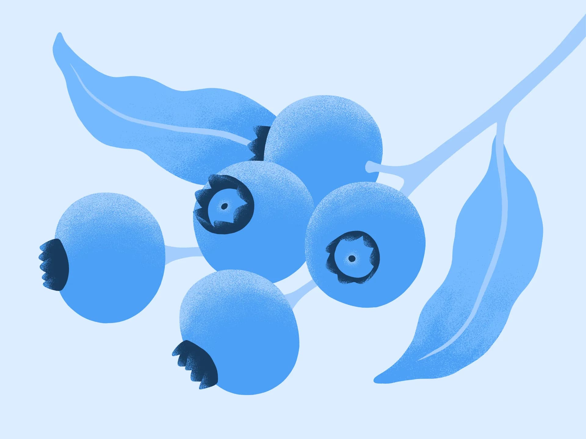 Close-up of blueberries representing VARL's connection to nature and biology